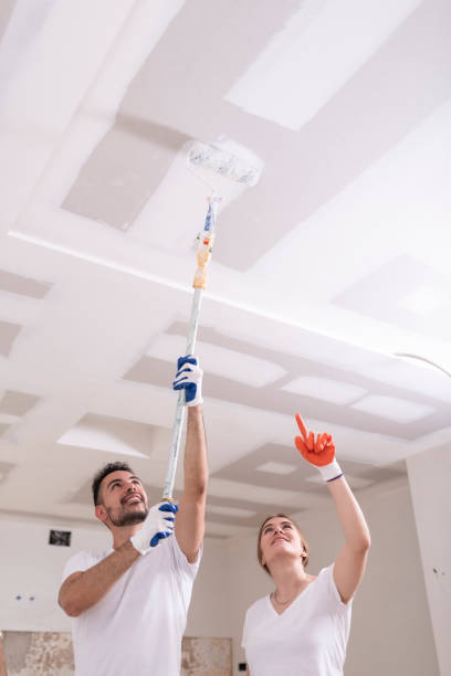 Best Ceiling Drywall Installation  in Van Horn, TX