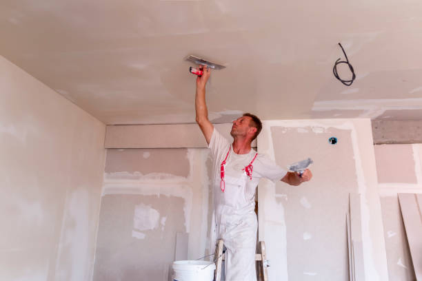 Best Fire-Damaged Drywall Repair  in Van Horn, TX